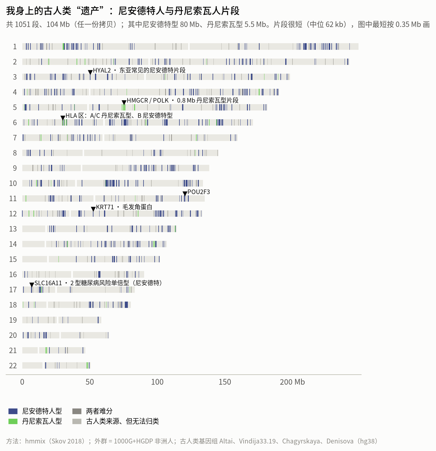 我的尼安德特人与丹尼索瓦人片段分布