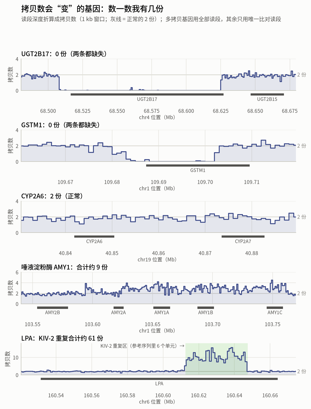 几个拷贝数可变基因的深度剖面